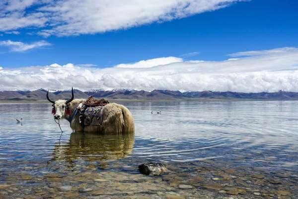 灵魂超越-纳木错!,不可不知的秘密