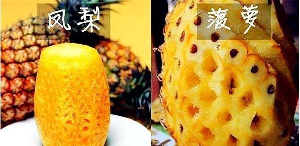菠萝和凤梨傻傻分不清只需“3招”轻松辨别,不再被奸商忽悠!
