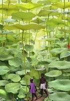 16岁女生操场产子：偷吃禁果比性侵更令人揪心