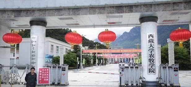 这3所211大学有意思，从211被降为普通院校，校友们都哭了