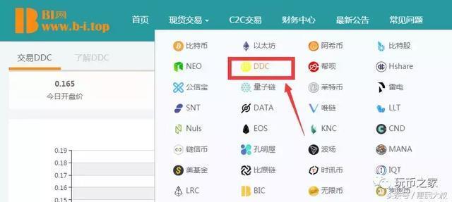 看看虚拟地球DDC这个币如何