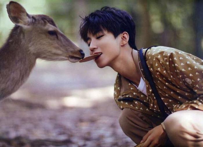 王俊凯拍了拍自己？如此别样的祝福方式，只有“王逗逗”了