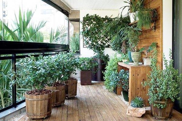 花友实践分享:很实用除小飞虫小窍门!送给爱养花小伙伴!!