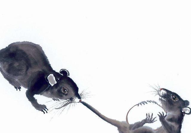 大师断言：属鼠人的后半生竟是如此“不堪”