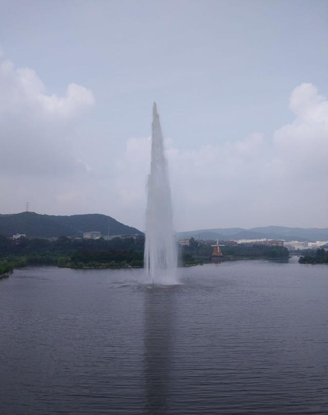 大连周末休闲去处，西郊国家森林公园