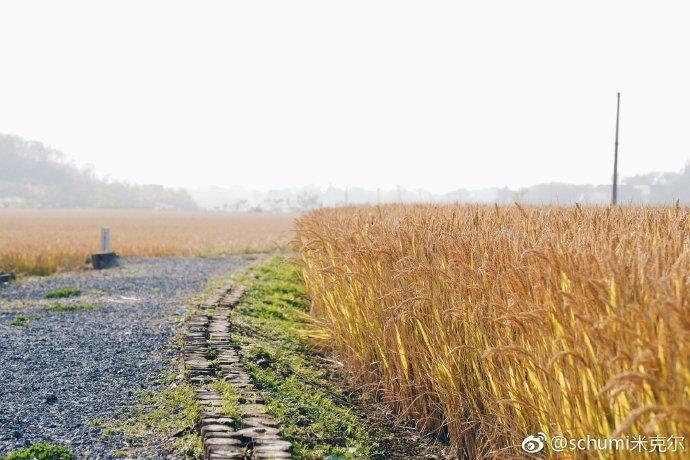 桦墅村，私藏在南京的宁静村落，你来过吗