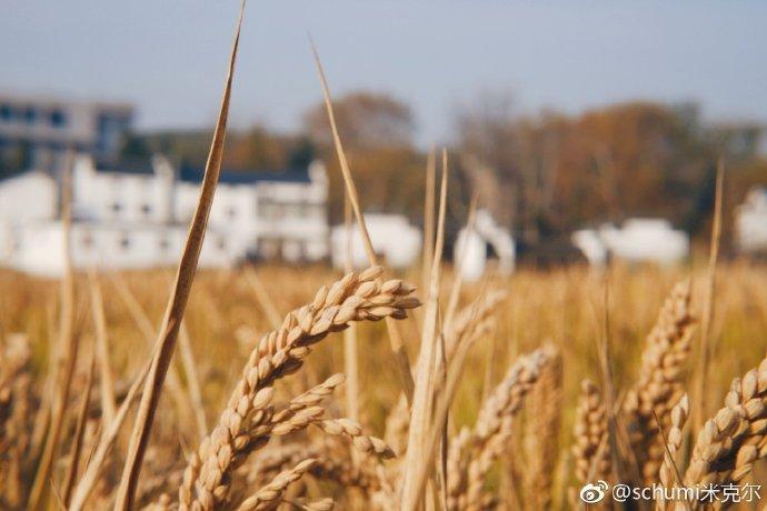 桦墅村，私藏在南京的宁静村落，你来过吗