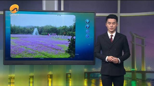 走进位于惠安黄塘的泉州花田小镇……