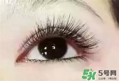 ​孕睫术是什么？孕睫术有用吗？