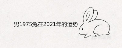 ​男1975兔在2021年的运势解析