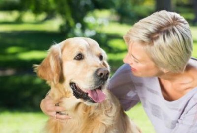​边牧犬腹泻急救：快速应对措施
