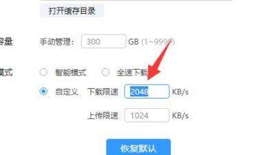 迅雷离线下载（如何加快下载速度）