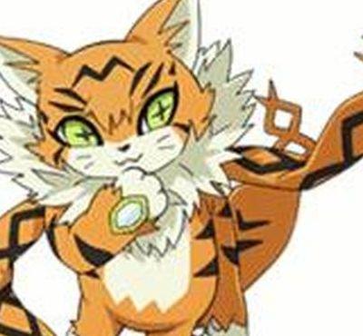 缅因猫兽（缅因猫兽进化）