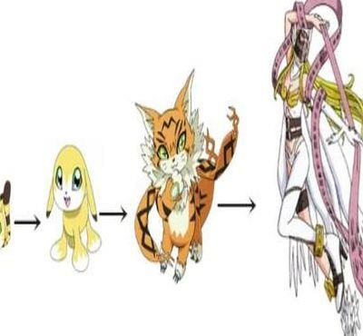 缅因猫兽（缅因猫兽进化）