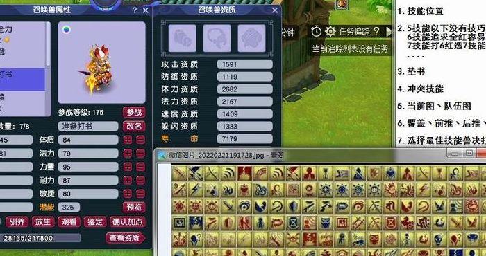 梦幻宝宝练级地点（梦幻宝宝练级攻略）