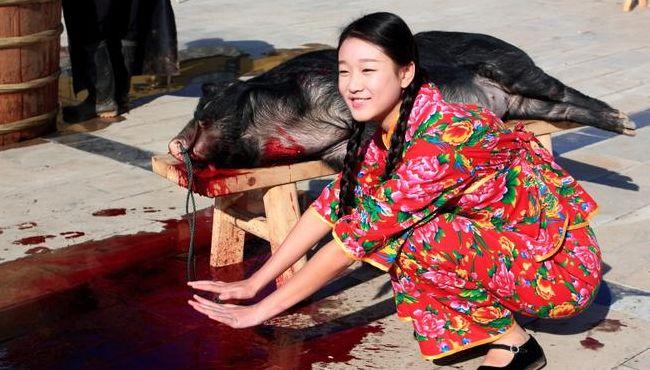 宰杀女肉畜（秀杀屠宰）