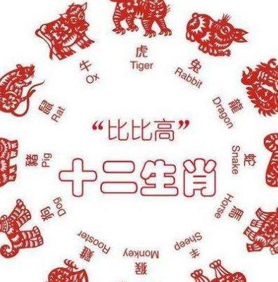 龙飞凤舞打一个生肖（龙飞凤舞打一生肖和数字）