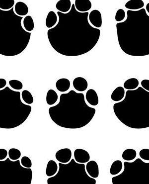 大象的脚印像什么（大象脚印像什么 图案）