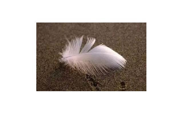 结婚后的日子一地弟毛如何是好【真实案例讲解】 结婚后的日子一地弟毛如何是好【真实案例讲解】