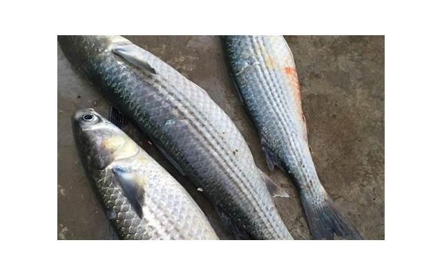 51劳动节，如何让你的爱情不再单调乏味？