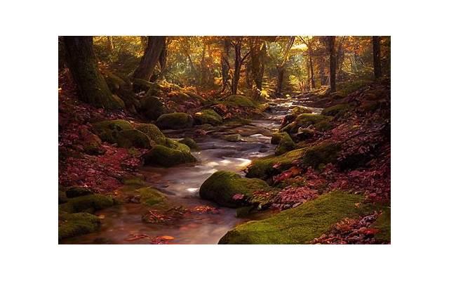 哪些运动让男人更持久 鉴定男性性能力的标准有哪些 哪些运动让男人更持久 鉴定男性性能力的标准有哪些