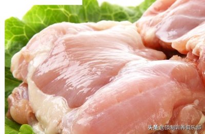 ​除了猫粮猫咪竟然还可以吃这些东西