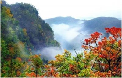 ​从青岛出发来场省内自驾游路线图，该去哪玩？