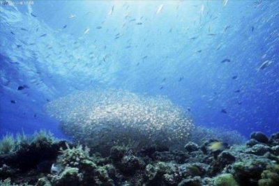 ​5月份巴厘岛旅游攻略5月份巴厘岛旅游攻略