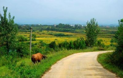 ​4月北海道旅游穿衣攻略冬天去北海道，如何穿搭