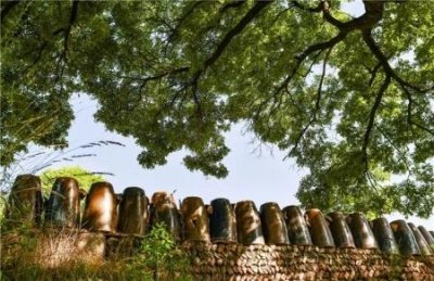 ​宁夏固原都有哪些绝佳景点