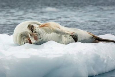 ​7类人不用隔离14天哪7类人不用隔离14天你好