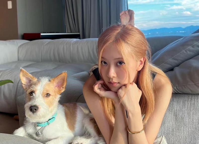 人到中年，女人一定要漂亮！男人一定要有钱！