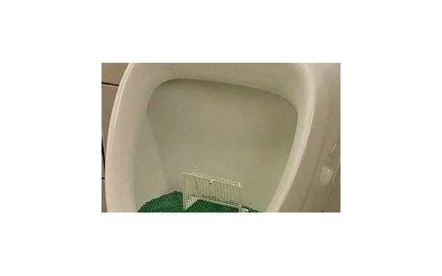 男人出轨和女人出轨的区别 男人出轨和女人出轨的差异