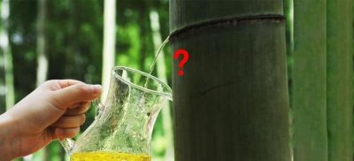 ​竹子里的酒，到底是怎么装进去的？今天才知道原来还有这种操作！