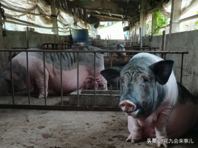 ​农历七月十四日的风俗有哪些