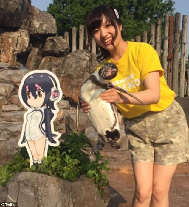 最奇葩CP！失恋企鹅爱上二次元卡通美少女