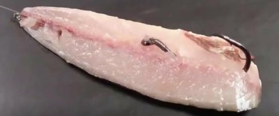 ​各类海钓钓饵挂钩的方法介绍