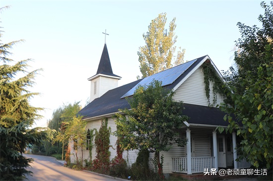 山东德州，有个地方叫着“中国太阳谷”