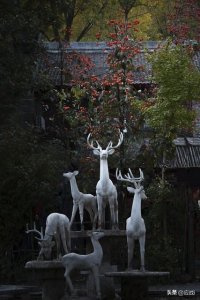 ​白鹿原—鹿子霖