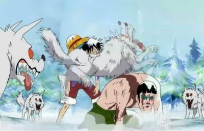 ​伊万科夫无意听到路飞的身份时！变身复读机，只会重复一句话