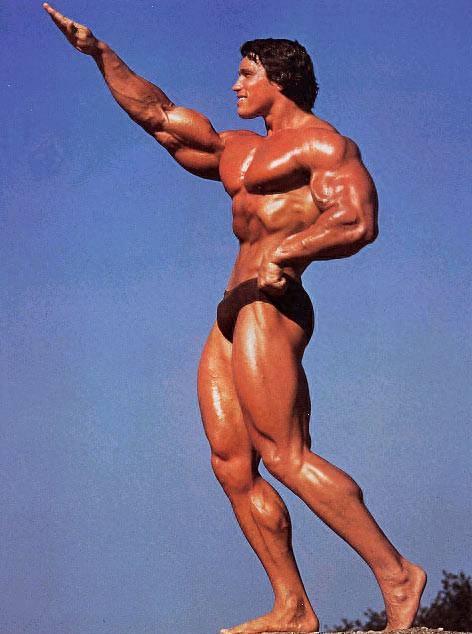 施瓦辛格巅峰肌肉有多强？一拳放倒WWE世界冠军