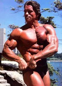 施瓦辛格巅峰肌肉有多强？一拳放倒WWE世界冠军