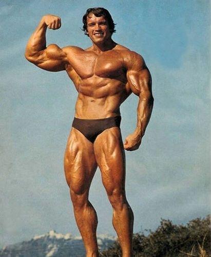 施瓦辛格巅峰肌肉有多强？一拳放倒WWE世界冠军