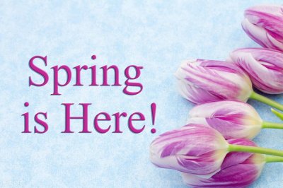 ​春暖花开文案，朋友圈触动人心语录，关于春天的精辟唯美句子