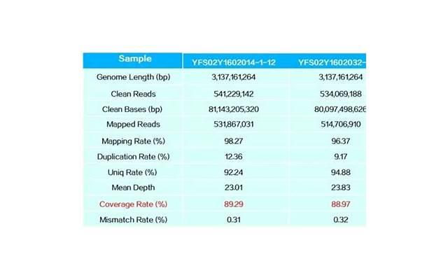 复合的话怎么说比较高级,分手后复联的聊天技巧