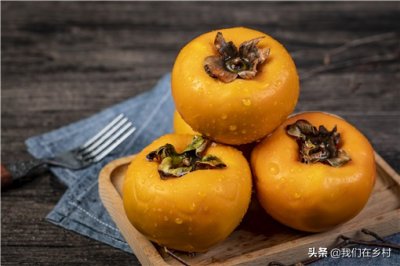 ​怎样快速催熟柿子？最简单的五个方法！