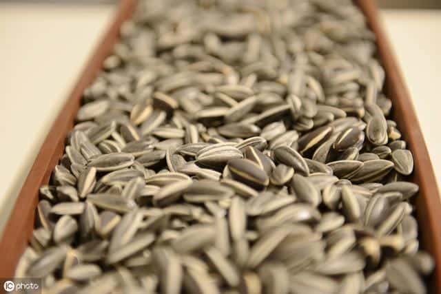 生葵花籽能养胃吗（生葵花籽的功效与作用）
