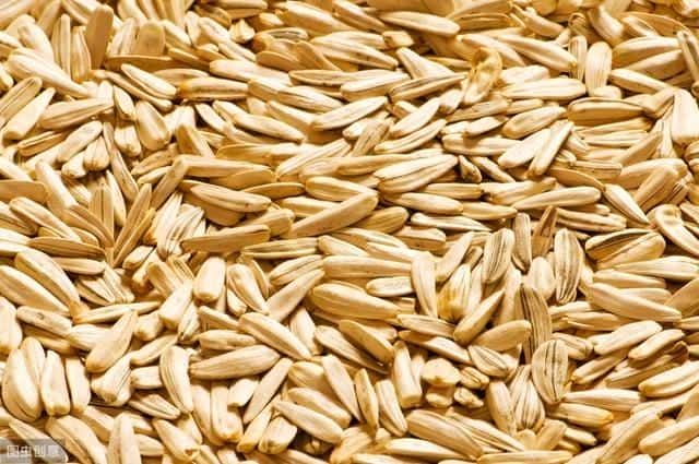 生葵花籽能养胃吗（生葵花籽的功效与作用）
