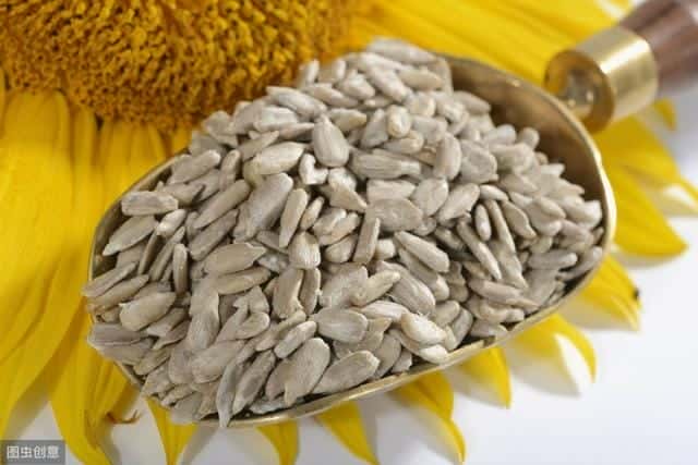 生葵花籽能养胃吗（生葵花籽的功效与作用）