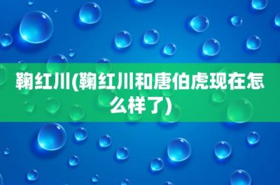 ​鞠红川(鞠红川和唐伯虎现在怎么样了)